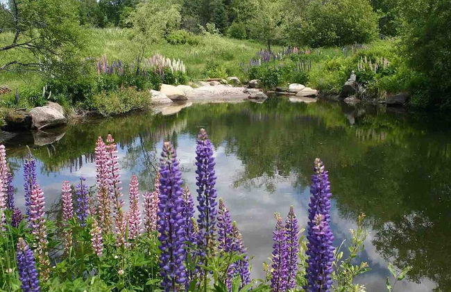 Relaxing Nature Retreat Perfect for Large Groups - Foto 55