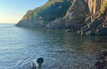 Lofthouse - secluded quirky cottage with sea views! - Photo 53