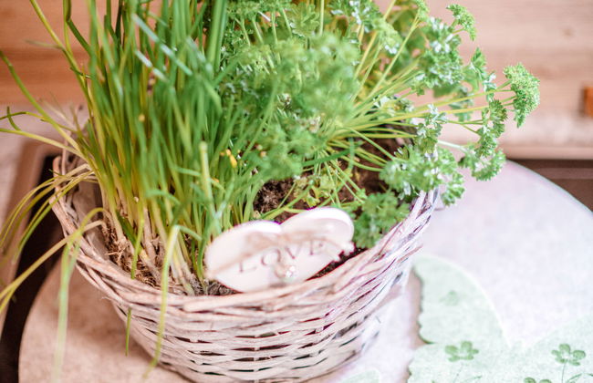 Simons Blockhütte - Foto 64