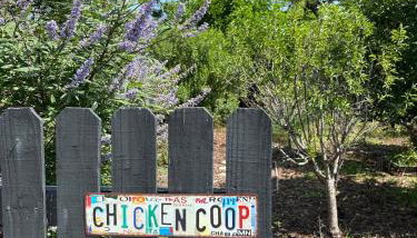 The Chick-Inn - Foto 5