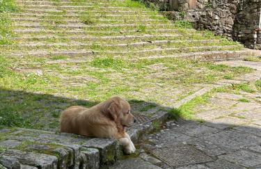 Àa da Pinèla-Biassa-Cinque Terre - Foto 29