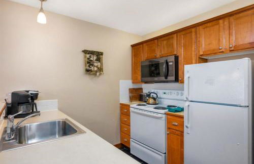 Allegheny339 Hot/Tub/Pool,Ski In/Out,Village - Foto 9