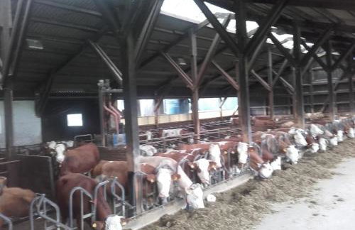 Kösseineblick - Foto 19