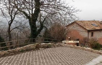 L'ALPACA DELLA ROSSA - AGRITURISMO - Foto 73