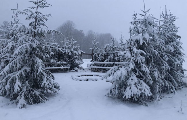 Liljekonvalj Cottage Overlooking the River Sauna - Foto 27