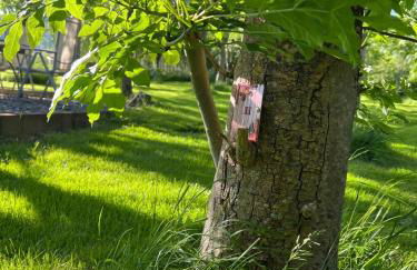 Devon Country Retreat The Linhay at Collaton Farm - Foto 43