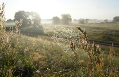FERIENHAUS FERIENWOHNUNG EIFEL-ARDENNEN BLOCKHAUS Viebighaus - Foto 25