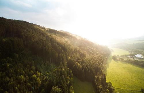 Ferienhaus am Wald - Foto 30