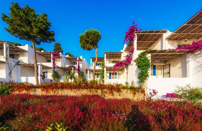 Sunset Mavi - Foto 34