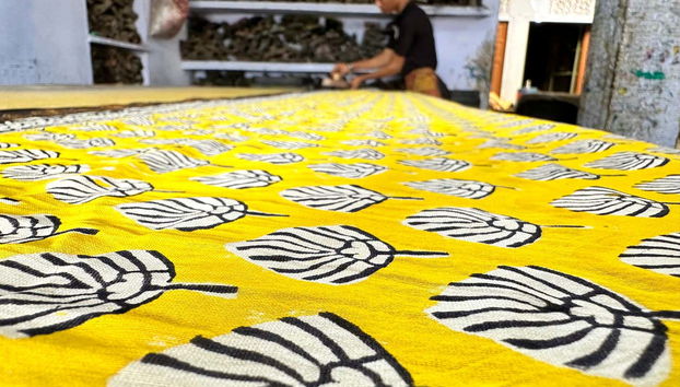 Traditional Printmaking Workshop in Jaipur - Foto 5