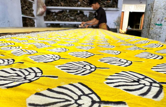 Traditional Printmaking Workshop in Jaipur - Foto 5