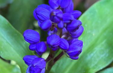 This place is different!! Award winning! Oceanfront, View View! - Foto 40