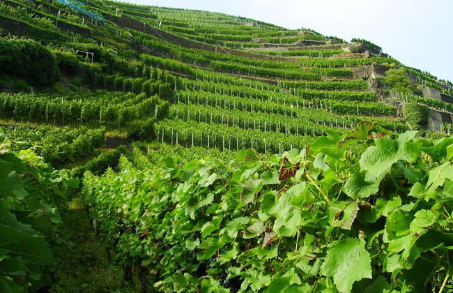 Beautiful Apartment in Morscheid-riedenburg - Photo 17