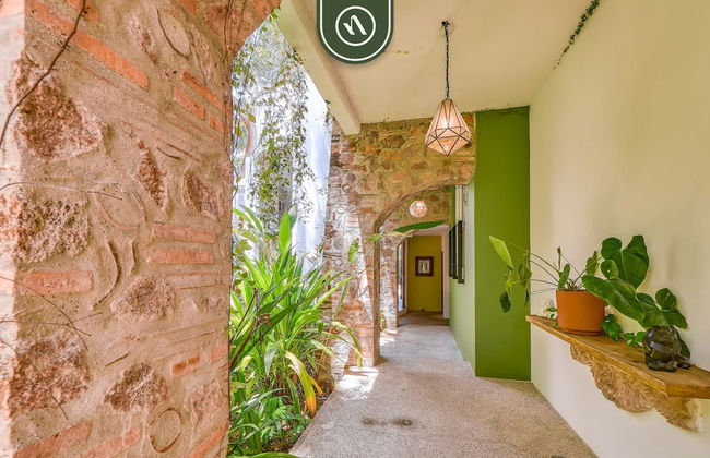 La Japihua in Jalisco - Foto 72