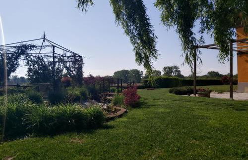 Agriturismo Raimondi Cominesi Amilcare - Foto 9