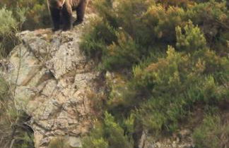 La Vega De Somiedo 1 - Foto 13