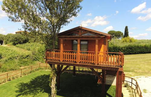 Agriturismo Le Torri di Porsenna - Photo 73