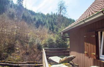 Schwarzwaldhütte am Bach mit Sauna - Foto 36