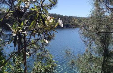 Casa Virginia - Foto 51