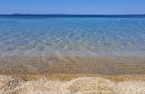 TORONI ALPHA STUDIOS - Foto 65