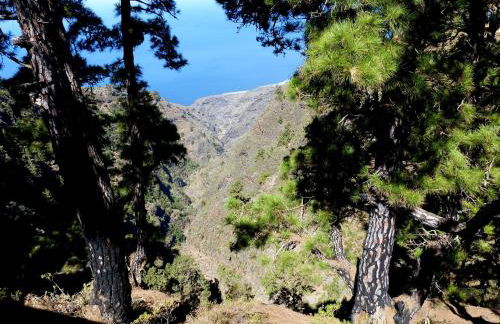 Villa Buena Vista - Foto 40