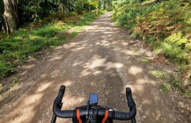 Nagshead Cottage - Dog-friendly retreat on the cycle trail - Photo 10