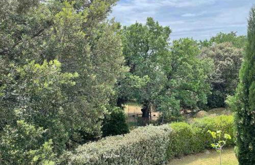 Belle villa avec piscine intérieure et piscine extérieure Gite Les Aiguiers - Foto 41