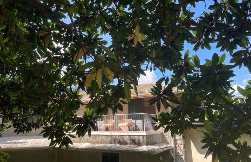 Una magnolia in Cademartori - Foto 43