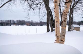 Bass Bay Getaway | Lakefront Family Cottage - Foto 45