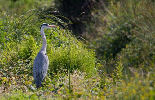Un letto nel cortile - Foto 30