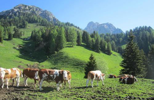 Casa Caterina - Foto 37