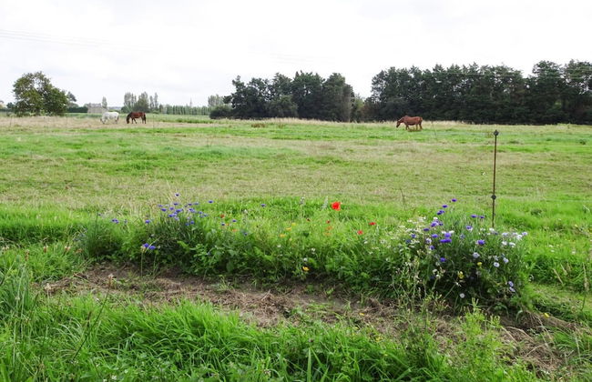 Semi-detached House, St. Meloir-des-ondes - Foto 16
