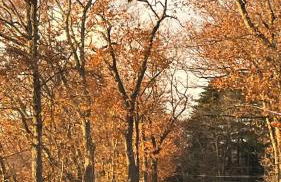 The Tannery House - Foto 22