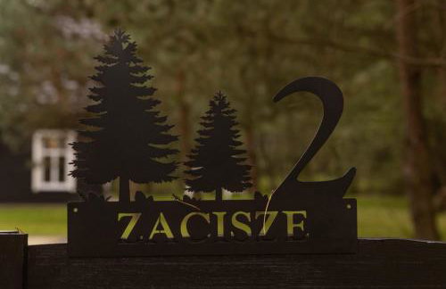 Czarny Dzięcioł - Foto 15