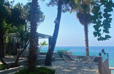 Ktima Papaoikonomou 2 - Foto 39