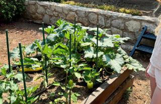 Aeolos beachfront family residence - Foto 46