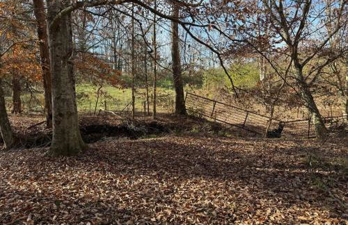 Waterfalls Canyon 41.5 Acres W Miles of Trails - Foto 19