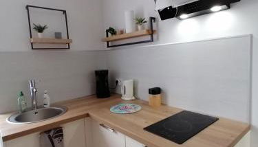 Appartement en bord de mer entre Saint Malo et le Mont Saint Michel - Foto 2