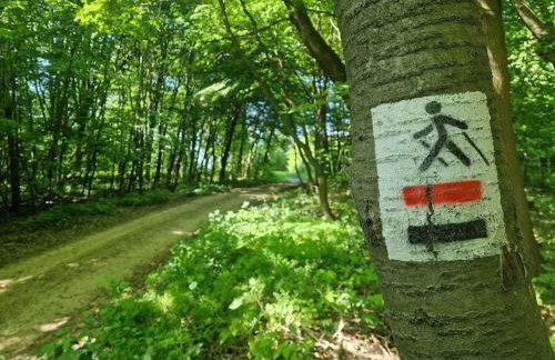 Agroturystyka Nad Bystra - Drewniany dom z pięknym ogrodem - Photo 16