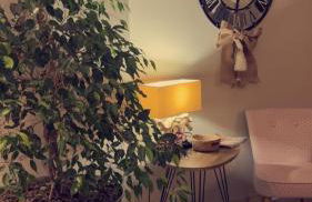 Les Catèdjes - Foto 2