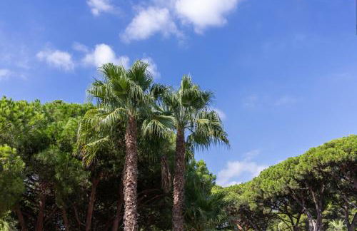 Aparthotel Las Palmeras Castelldefels - Photo 36