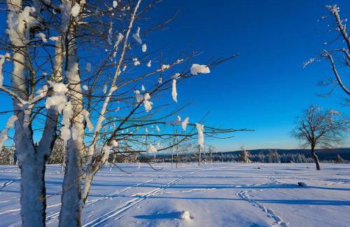 Appartement Am Skihang Altastenberg 1 km zum Skikarusell Winterberg - Photo 22