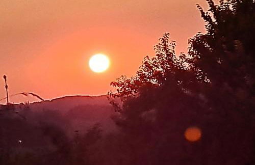 Ferienwohnung und Monteurwohnung Matthies Nähe Köln 30km - Foto 5