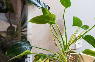 Lovely Culver City Home 8 Mins to Beach Close to LAX - Foto 38