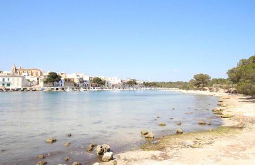 Can Alou ETV9643 - Foto 25