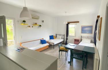 Andros Vineyard house with sea view - Foto 11