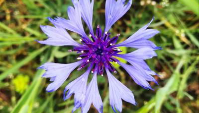 Agriturismo Il Riccio - Foto 4