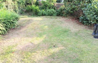 Trewebster - Photo 33