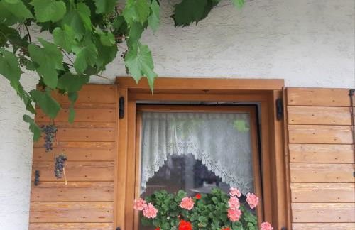 DOLOMITI DA VIVERE - Photo 15