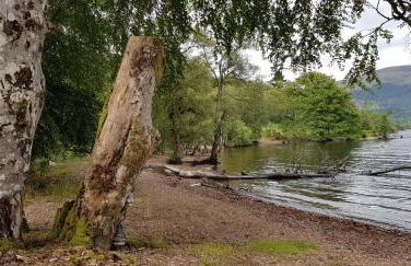 An Outdoor Enthusiasts Piece of Heaven - Photo 47